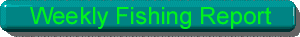 Weekly Fishing Report