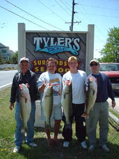 TT042901a.jpg (26783 bytes)