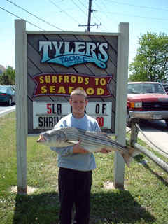 TT042901b.jpg (28982 bytes)