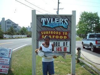 TT050401.jpg (26904 bytes)