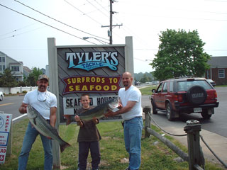 TT050501.jpg (25037 bytes)