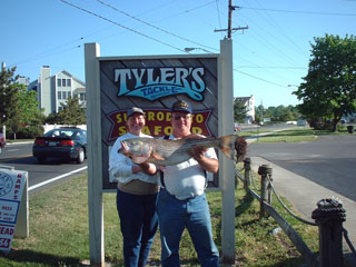 TT050701.jpg (27556 bytes)