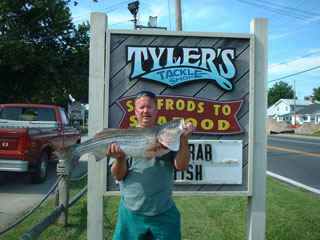 TT062401.jpg (28026 bytes)