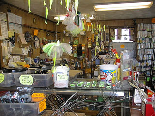 Umbrellas.jpg (37227 bytes)